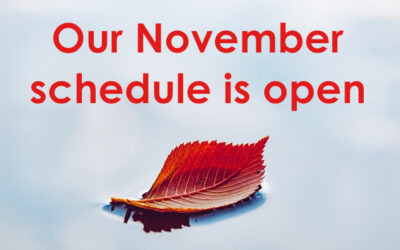 Our November 2024 schedule is open